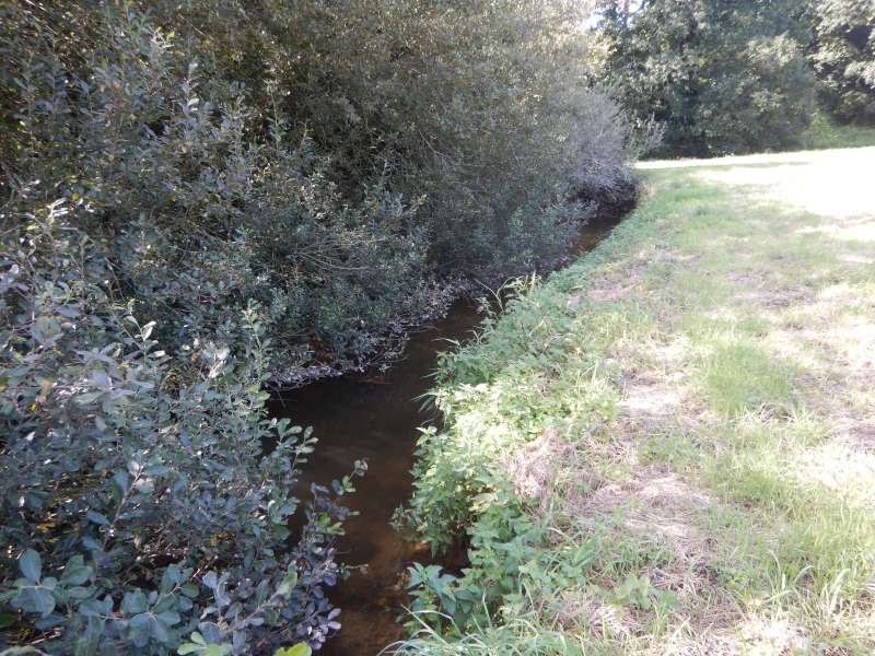 6 - Notre challenge du jour est d'aller jusqu'au virage.