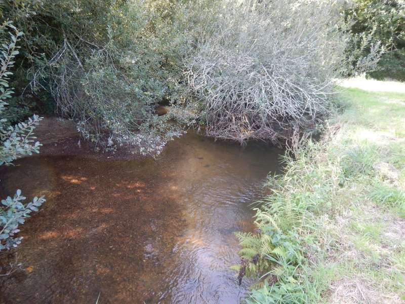 7 - Si on arrive l�, on aura gagn� notre journ�e!