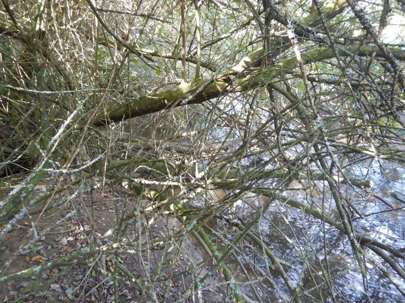 8 - Pour arriver au bout, il faut passer par l�...