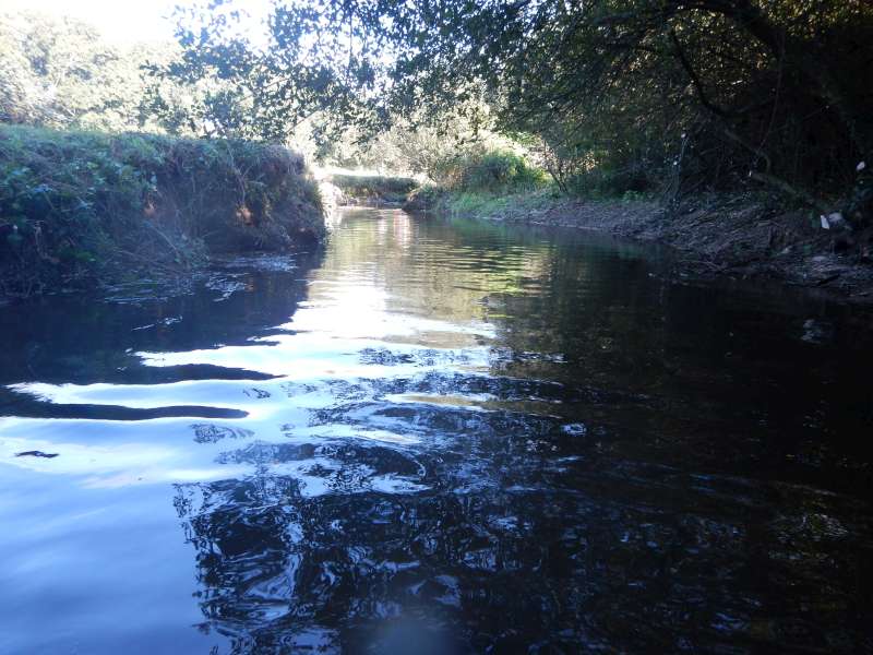 10 - La rivi�re coule librement.