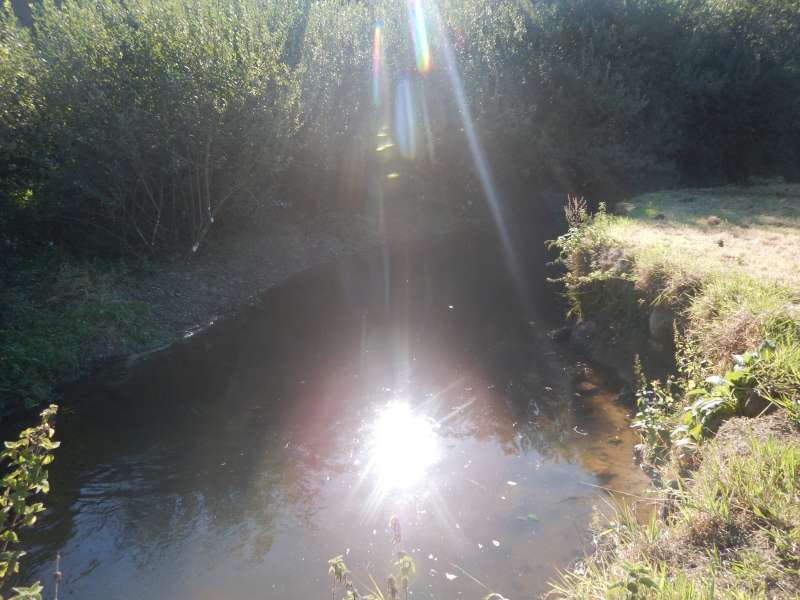 11 - Et elle est belle, notre rivi�re!