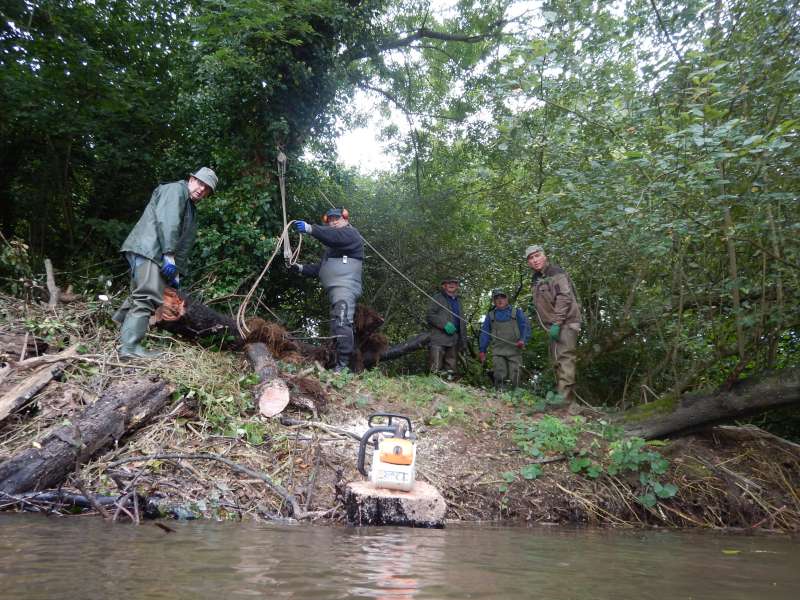 2 - Un arbre sorti au palan, facile!