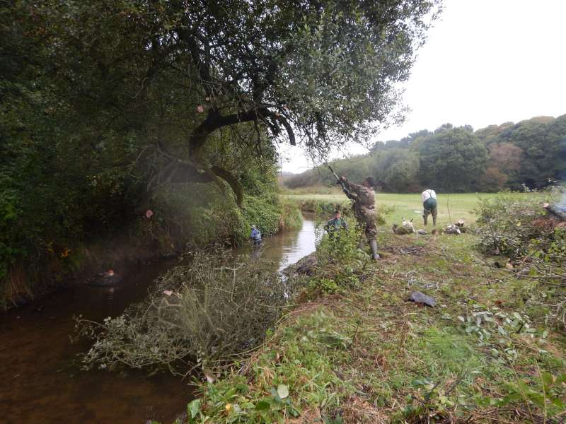 4 - L'�lagueuse � rallongeest pratique pour couper le bois mort