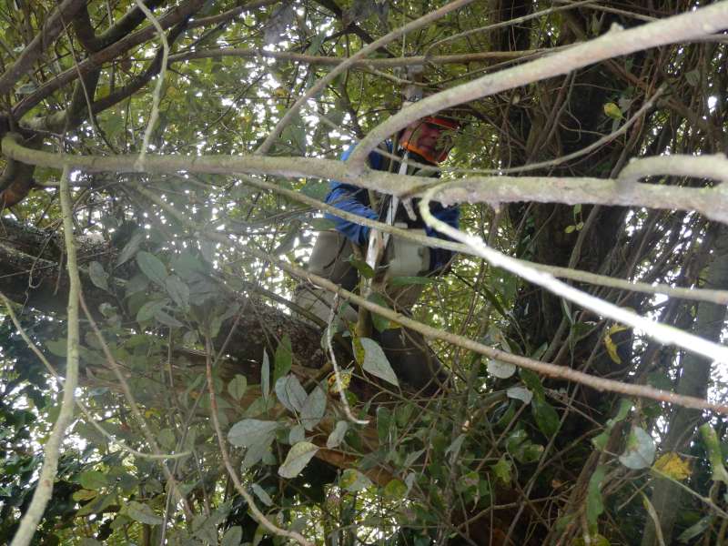 7 - Il faut parfois faire le singe!