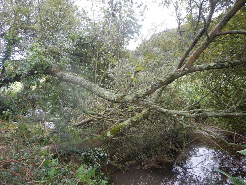 8 - Mais c'est un coup mont�!!!???