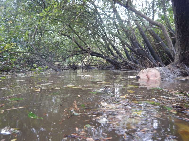 9 - Souhaitez-nous bon courage pour mardi prochain!...