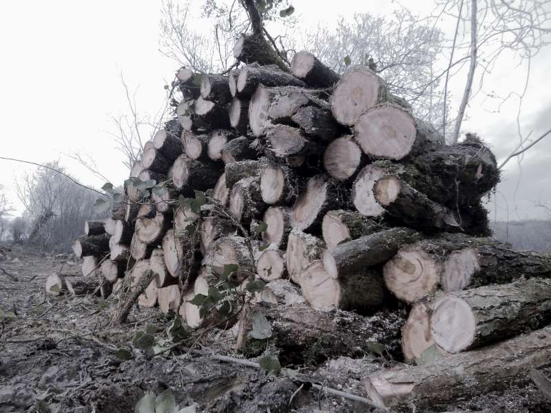 10 - Pour ceux qui ont une chemin�e... A suivre.