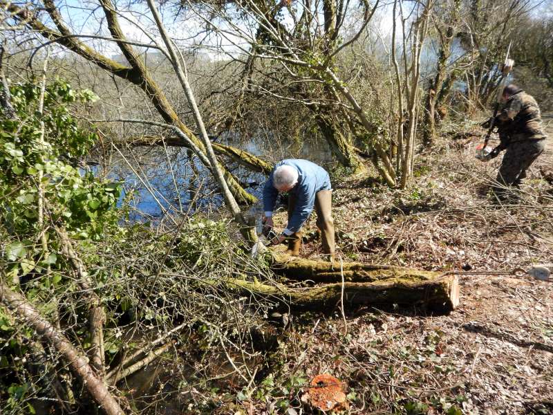 2 - Guy d�bite le premier arbre de la journ�e