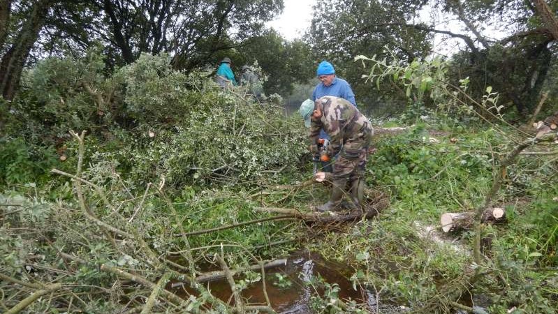 3 - On aura de quoi se chauffer cet hiver!