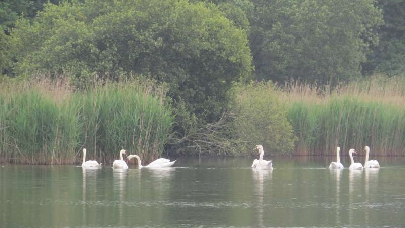 9 - Ah? Serait-ce le signe de la reprise?