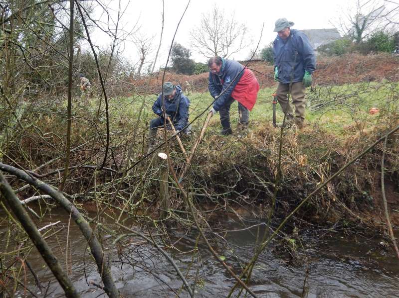 Couper, c'est bien, mais sortir les branches de l'eau, c'est mieux!