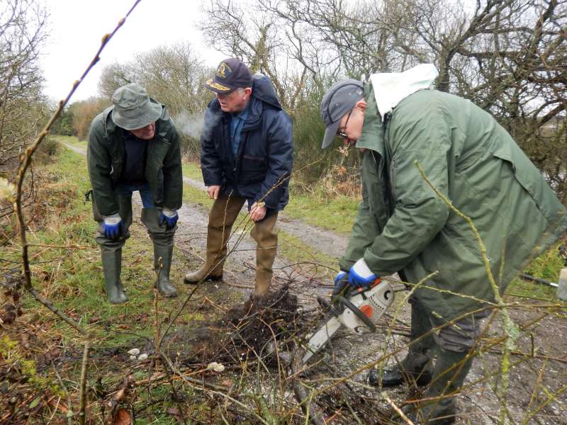 Le Pr�sident � l'�branchage...