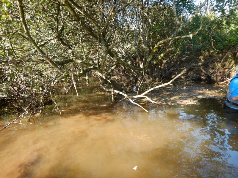 1 - On prend les m�mes et on recommence