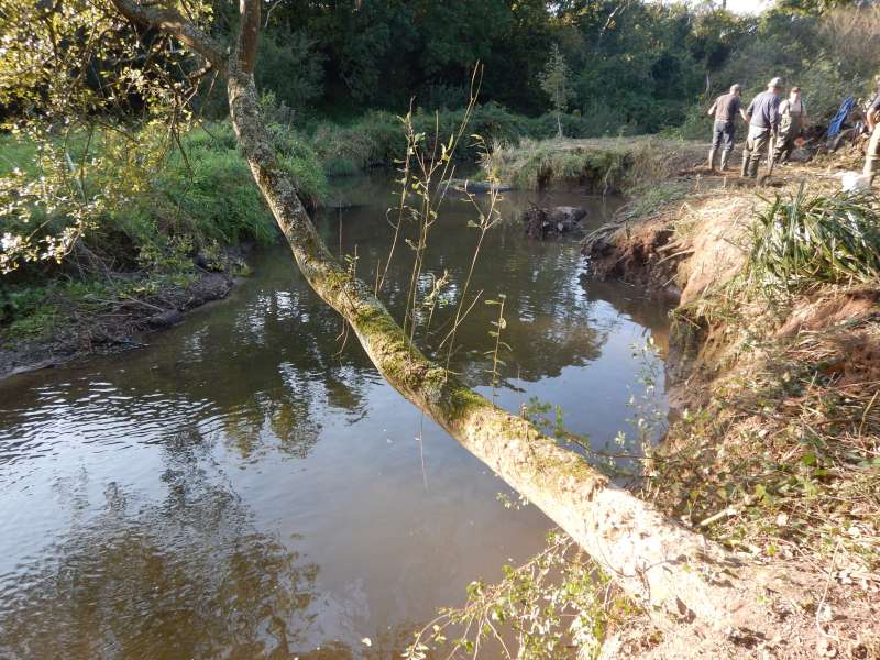 12 - Prochain chantier: sortir cette souche de l'eau...