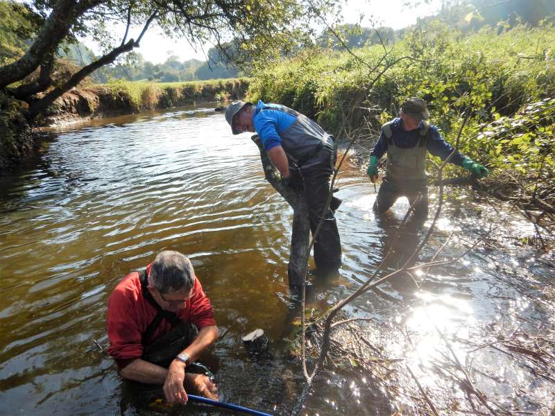 2 - Faute de tron�onneuse anphibie, la scie � b�ches fera l'affaire