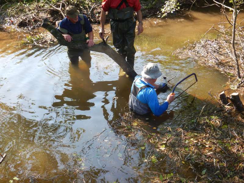 4 - B�cheron aquatique, m�tier sp�cifique � notre AAPPMA