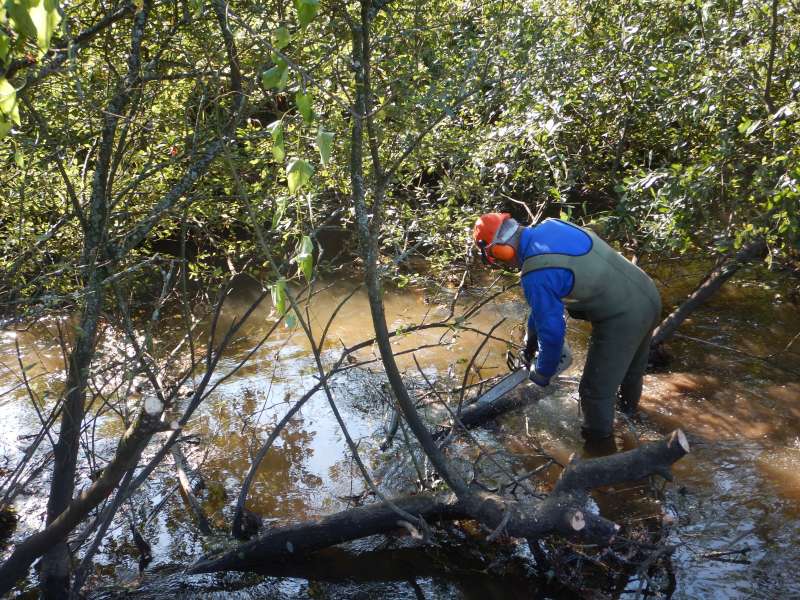5 - Non-non, elle n'est pas dans l'eau, Pascal...