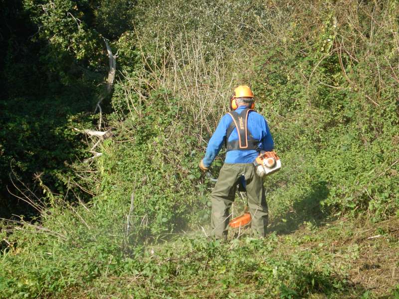 7 - D�brousaillor en pleine action