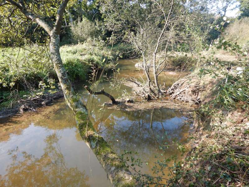 8 - Avant la pause, nous en sommes l�!