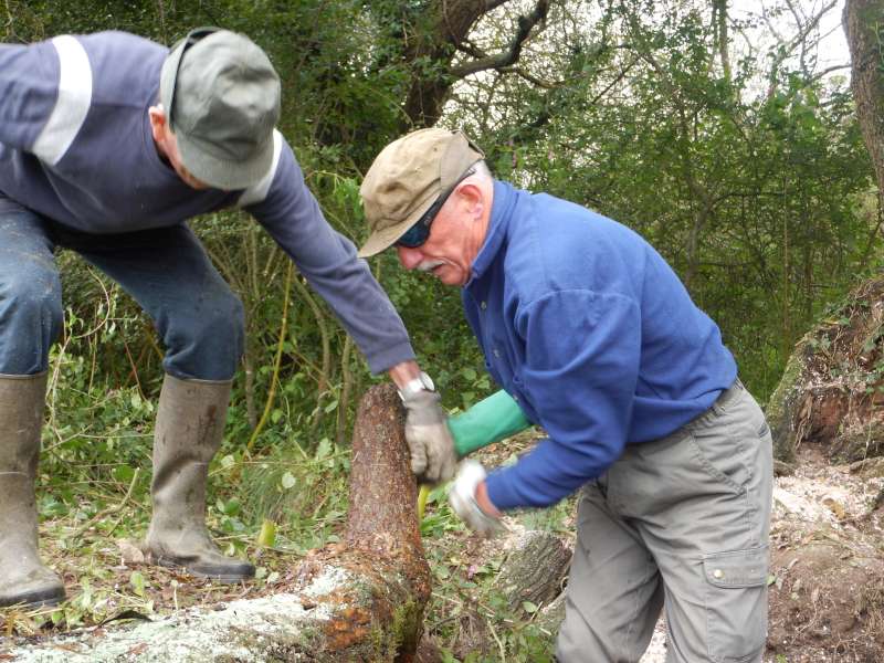 Joli tronc sorti de l'eau par Alain et Pierrot