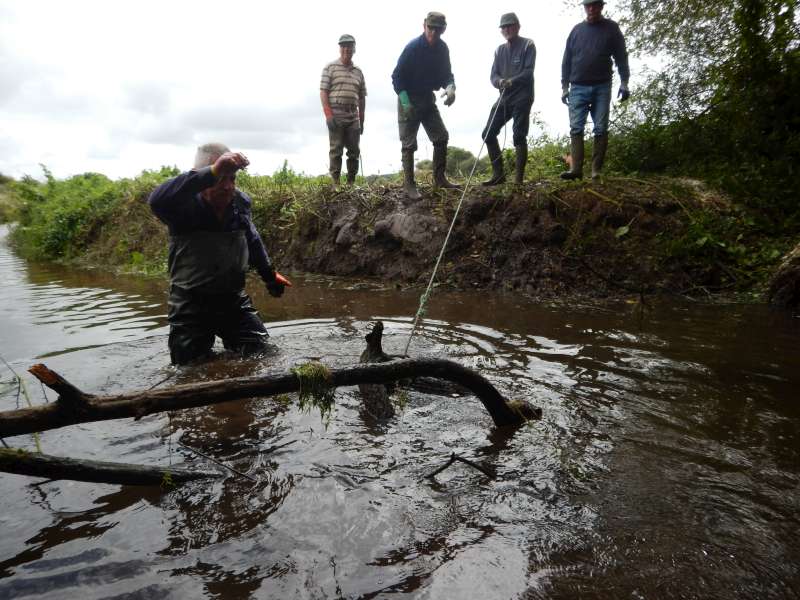 Pas facile de sortir ces branches envas�es!