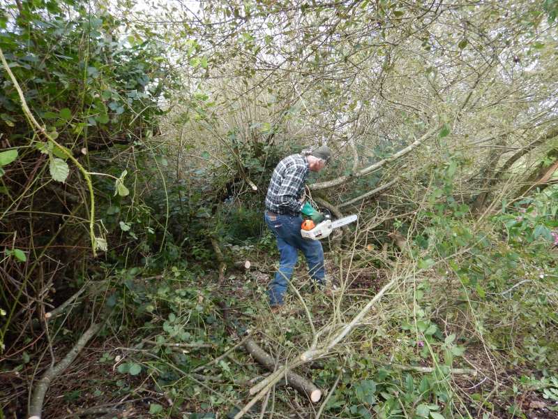 ...Jean No�l. Pas trop de 2 pour frayer un chemin