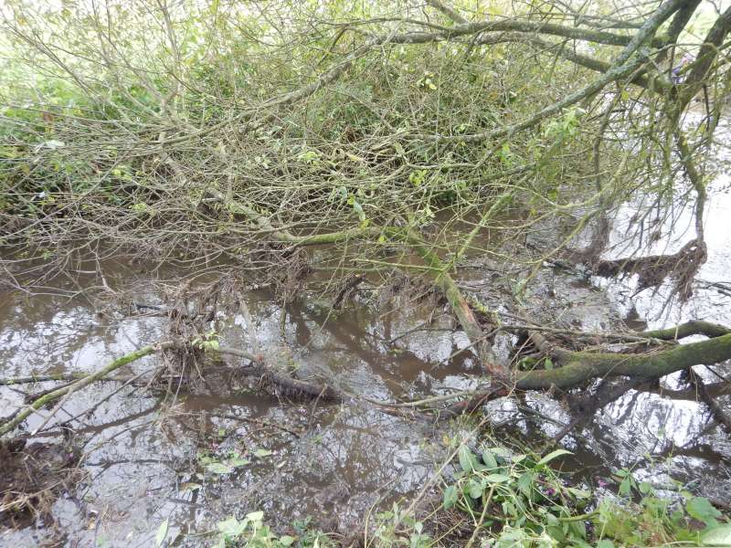 On approche de la fin