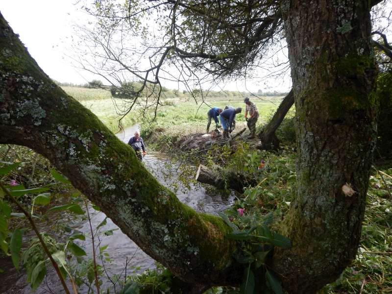 Doucement la rivi�re retrouve sa libert�