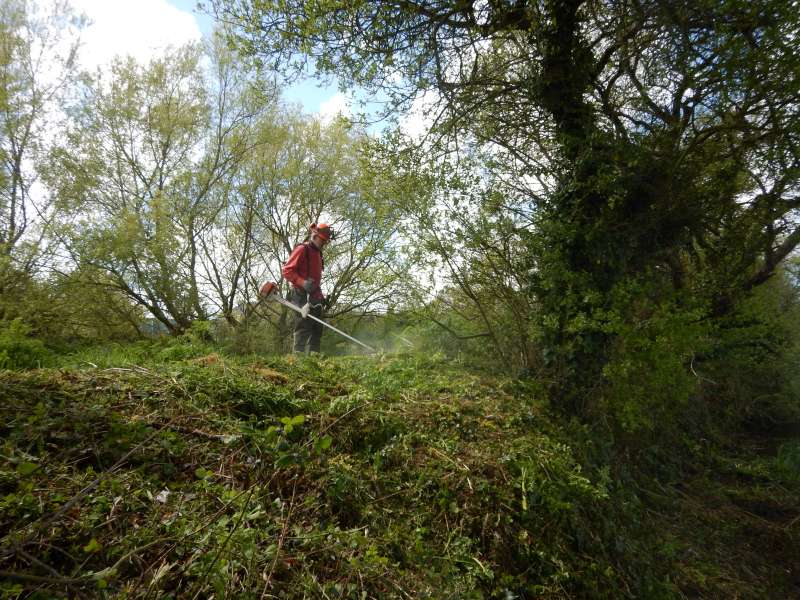 Joe s'active � la d�brousailleuse