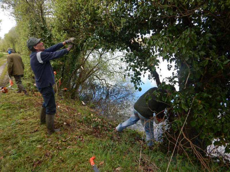 Pierrot fait en sorte que la branche tombe du bon c�t�