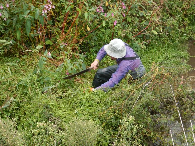 Guy attaque les ronciers � la machette!