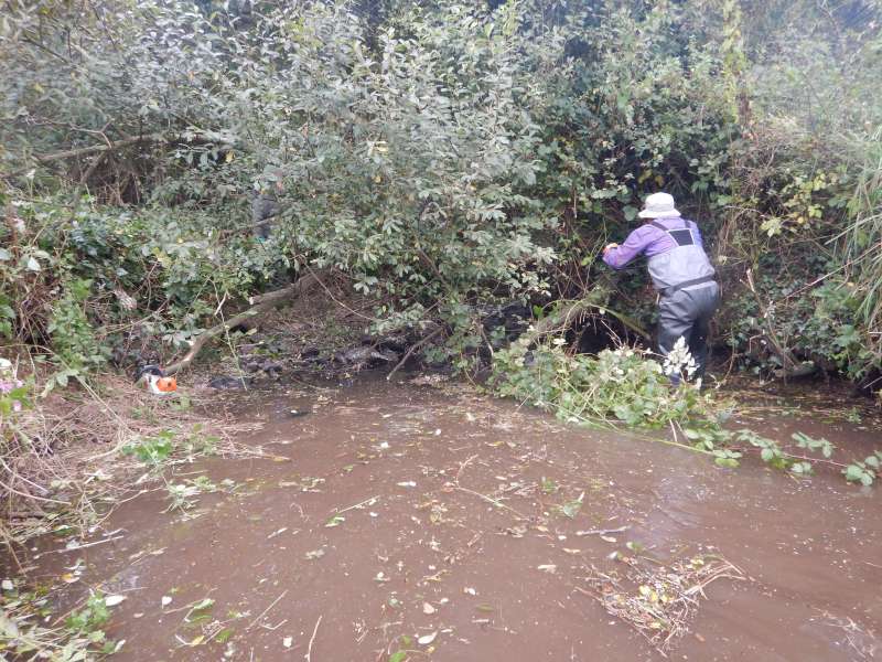 L'eau est l�, juste derri�re