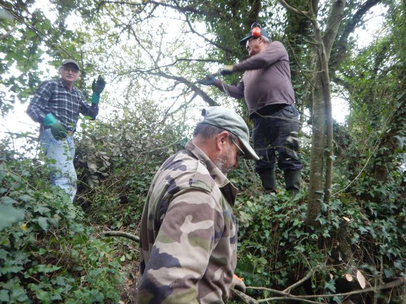 Il ne suffit pas de couper, il faut �vacuer