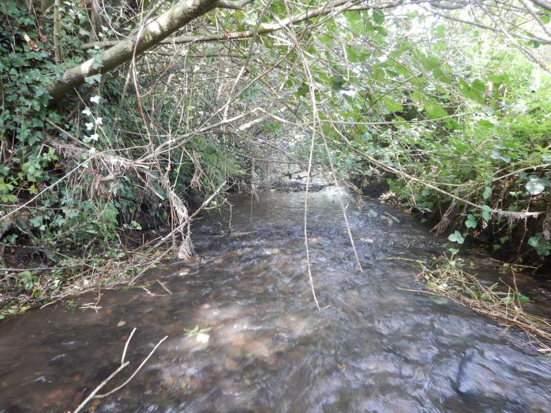 On approche de la fin (pour aujourd'hui)