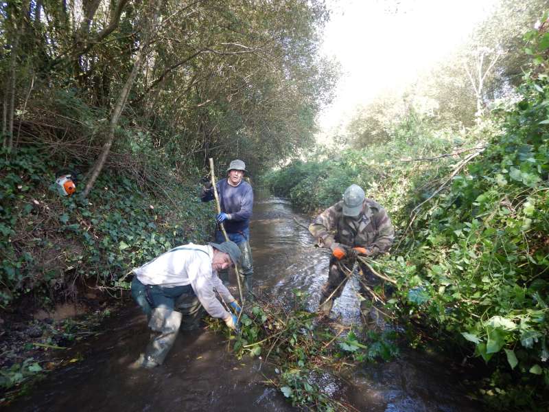 Ramassage des derni�res branches