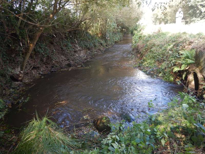 Et voil� une belle portion d�gag�e!