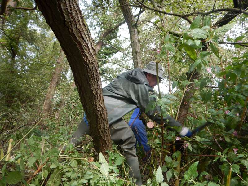 Gilles joue de la machette