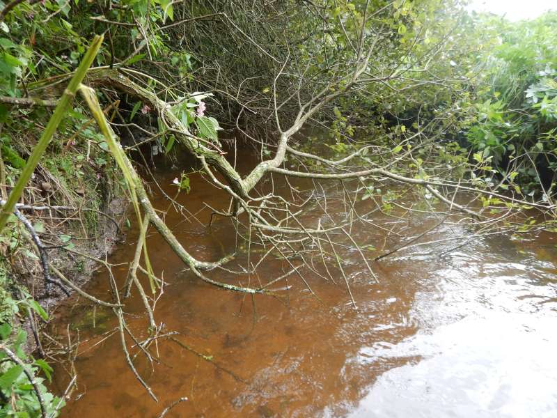 Un beau sac de noeuds s'annonce!