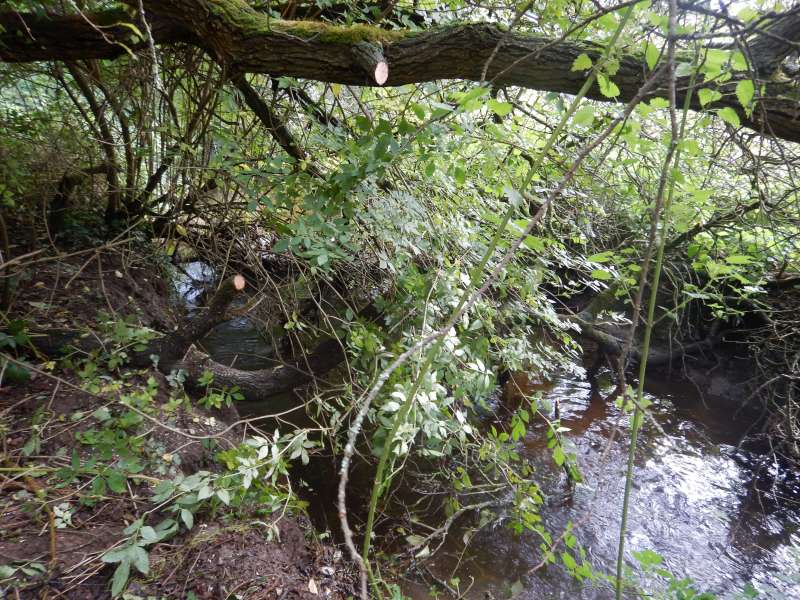 Apr�s �a, nous aurons gagn� notre journ�e!