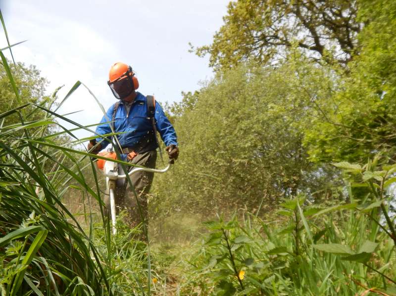 Seconde journ�e: G�g� attaque la berge d'en face