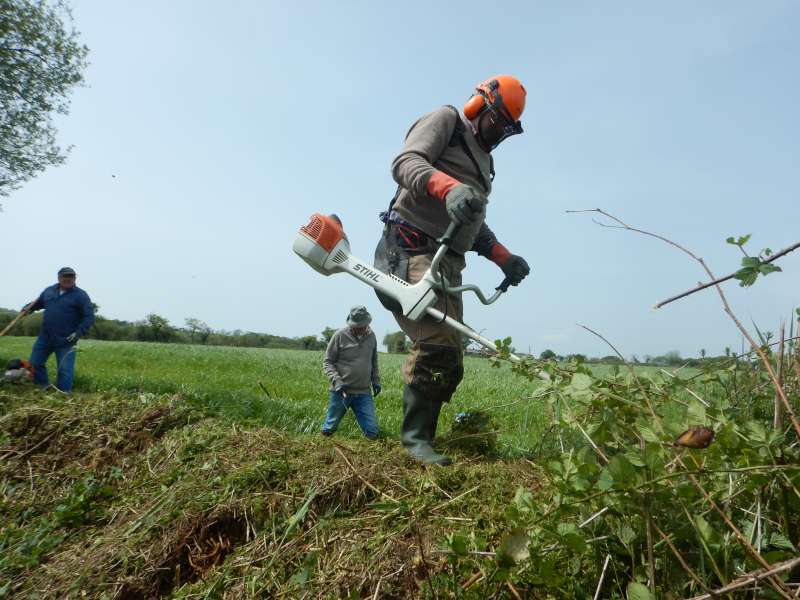 Alain dans ses oeuvres