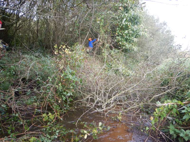 G�g� livre bataille