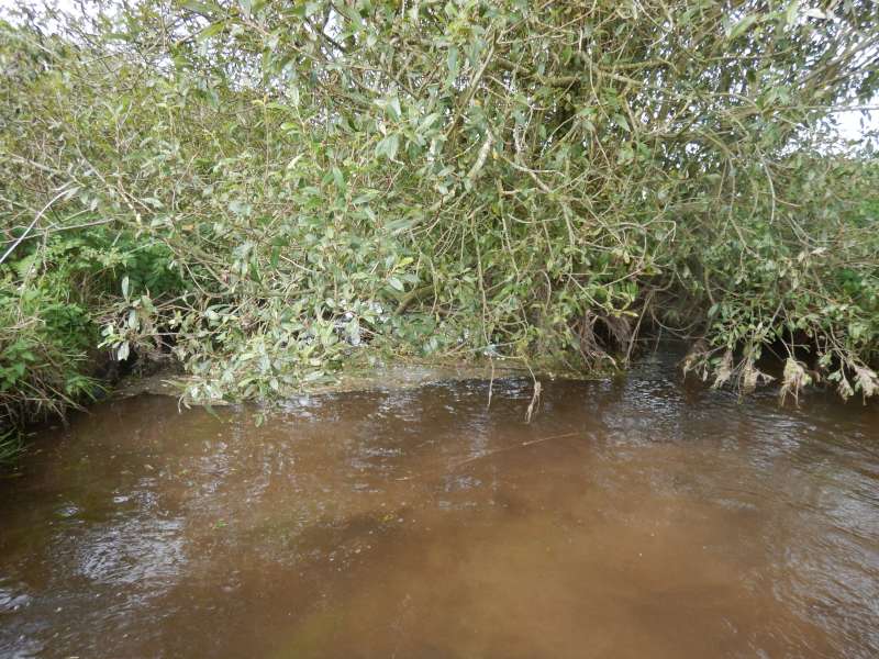 Dernier embacle du jour