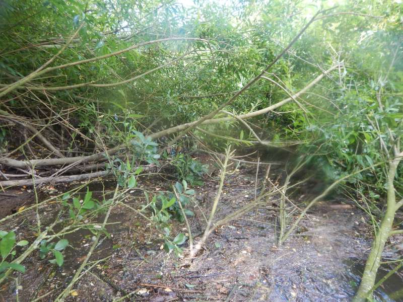 Premi�re vision du jour!