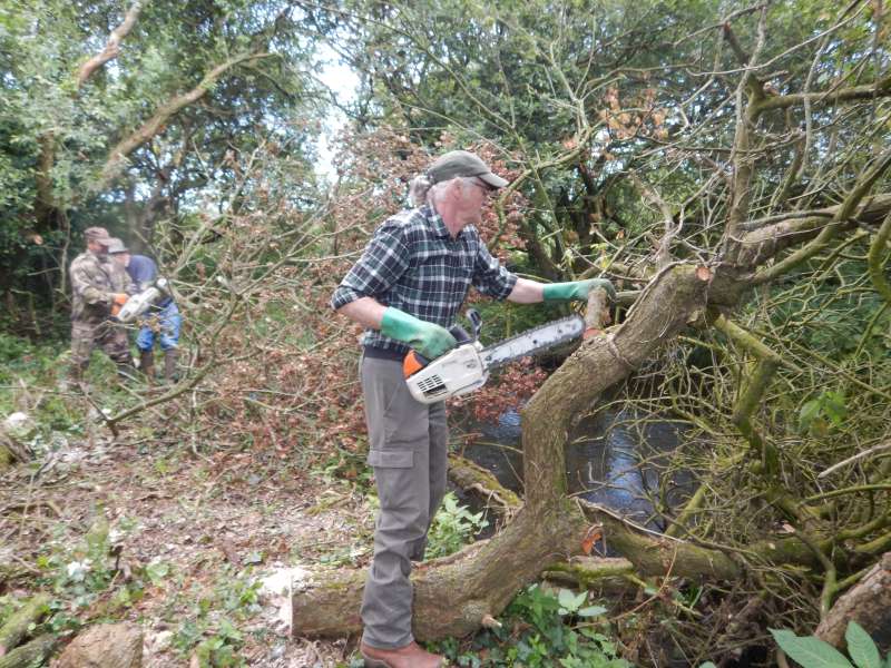 Les b�cherons � l'oeuvre