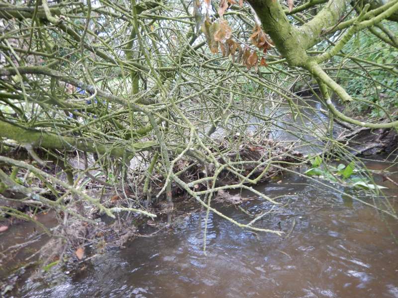 Le fant�me de Guy derri�re un embacle