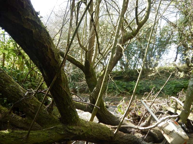 Celui-l� a cr�� un bel embacle!