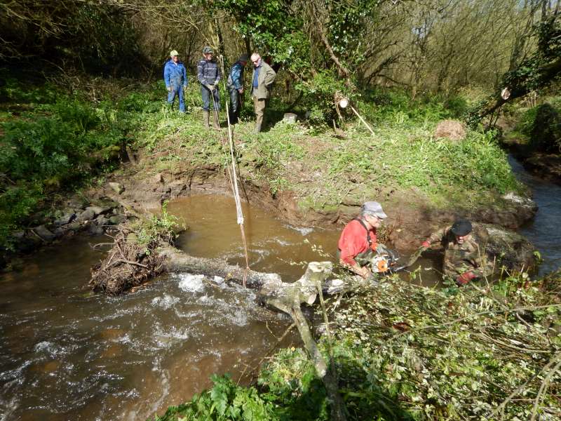 L'aide du palan est n�cessaire pour d�gager cette souche