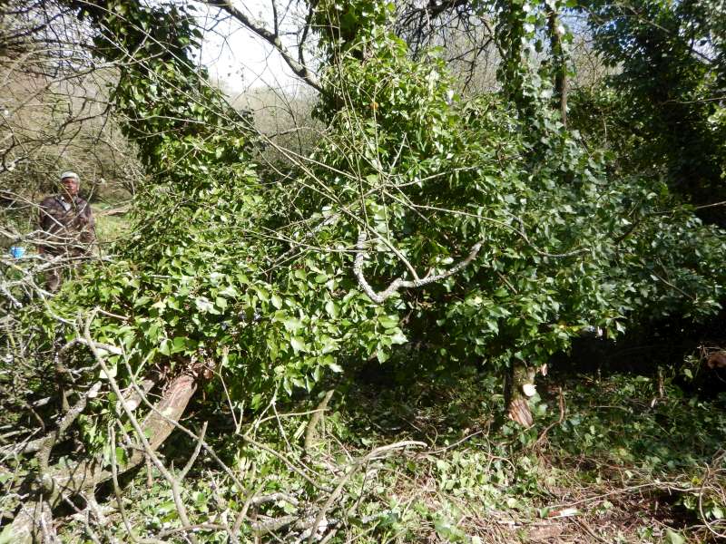 Jean Yves face � l'ampleur de la t�che