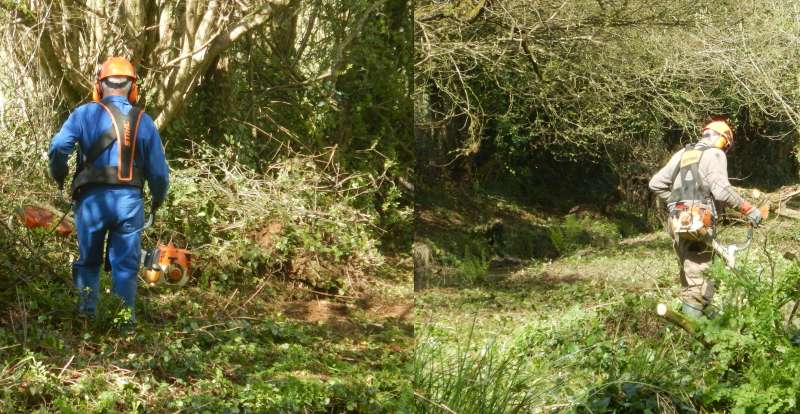 les d�broussailleurs (Michel, et Alain)